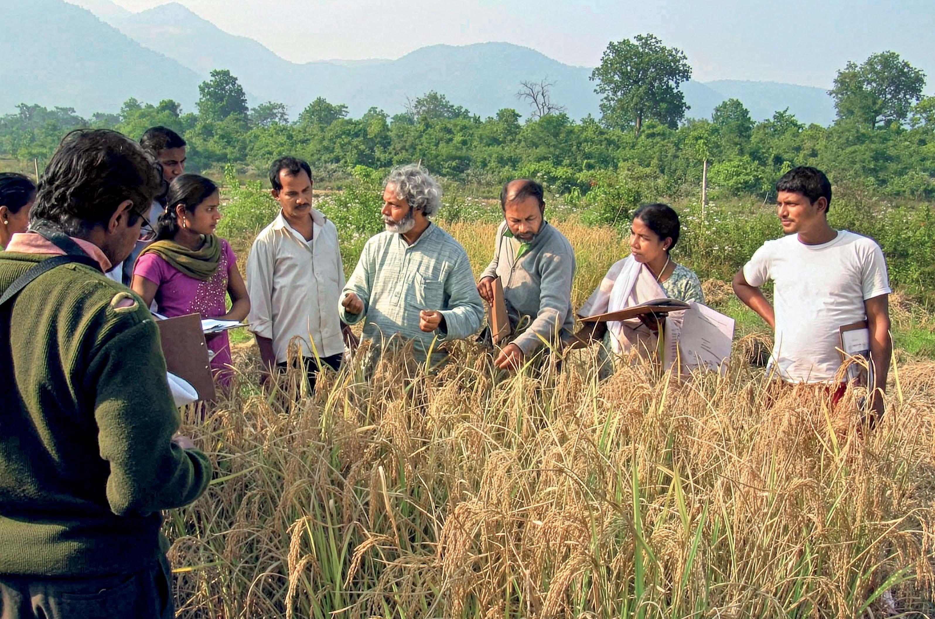 SAVIOUR OF OUR RICE DIVERSITY